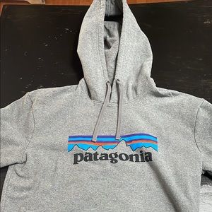 mens patagonia hoodie
